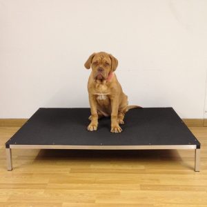 Raised Dog Beds 4